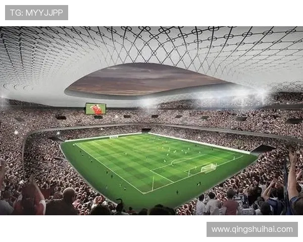 深入了解星空在线娱乐平台的多样化项目与精彩赛事