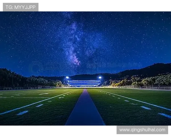 星空足球场:结合现代科技打造的夜间足球场,星光点缀带来视觉盛宴